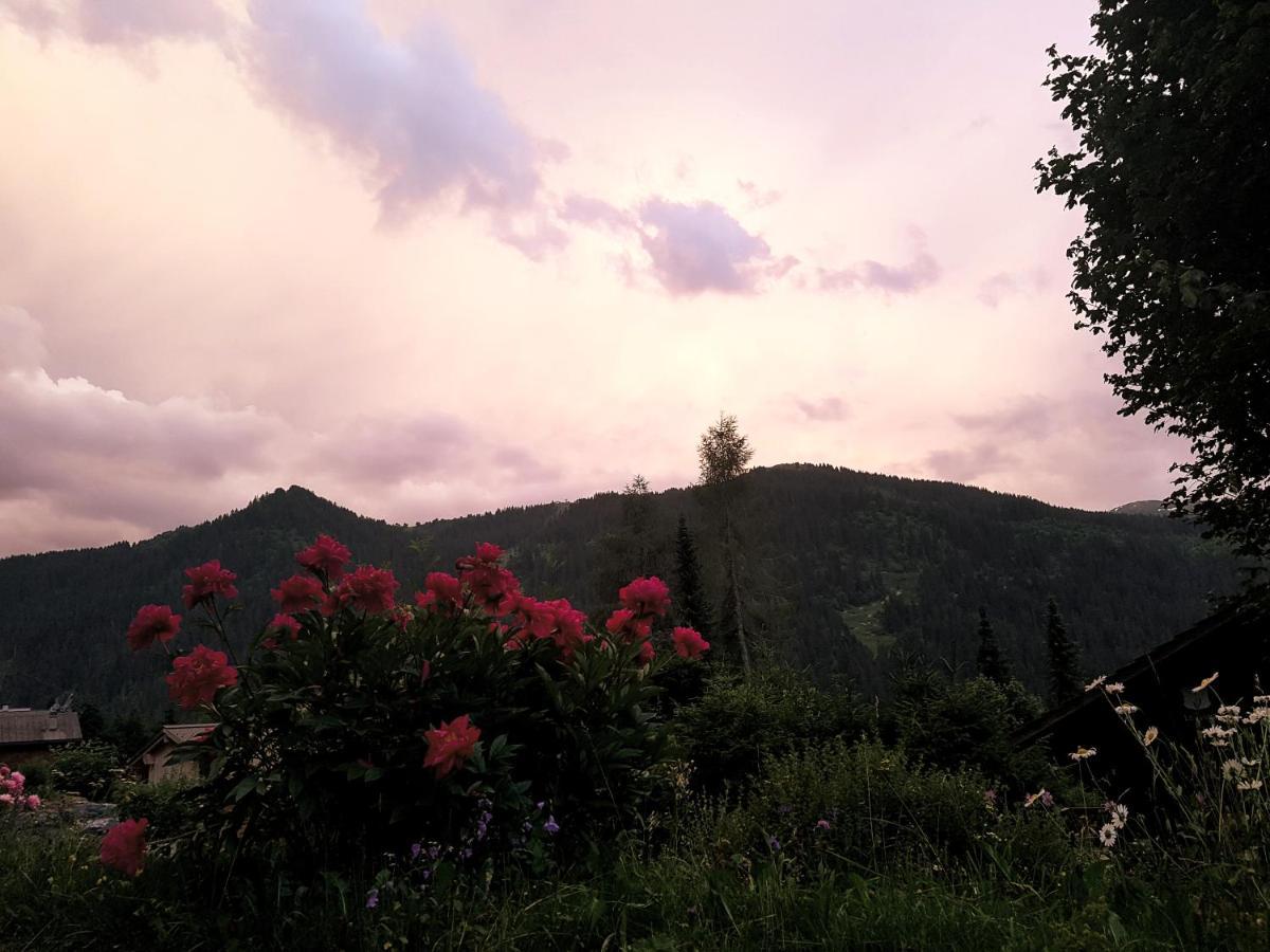 Le Castor Bed & Breakfast Morgins Eksteriør bilde