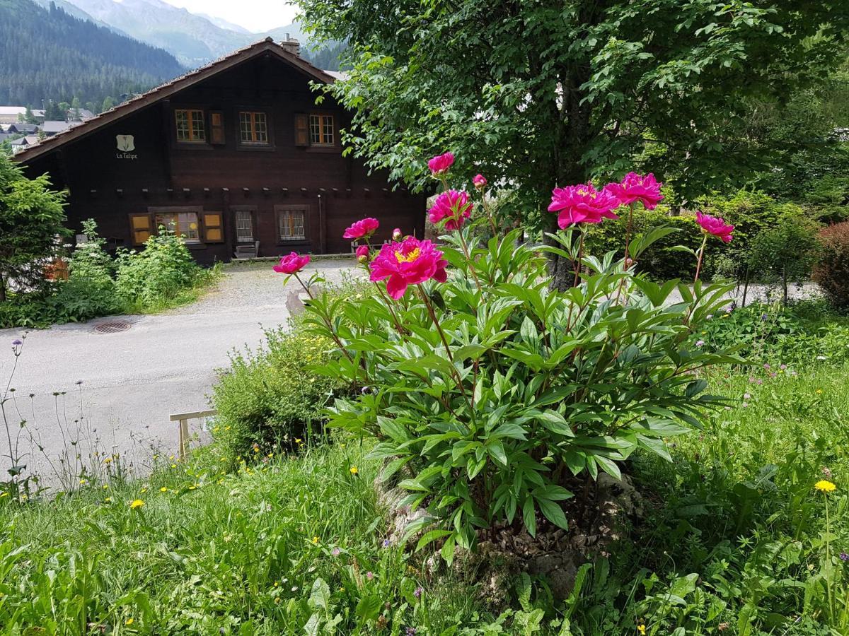 Le Castor Bed & Breakfast Morgins Eksteriør bilde